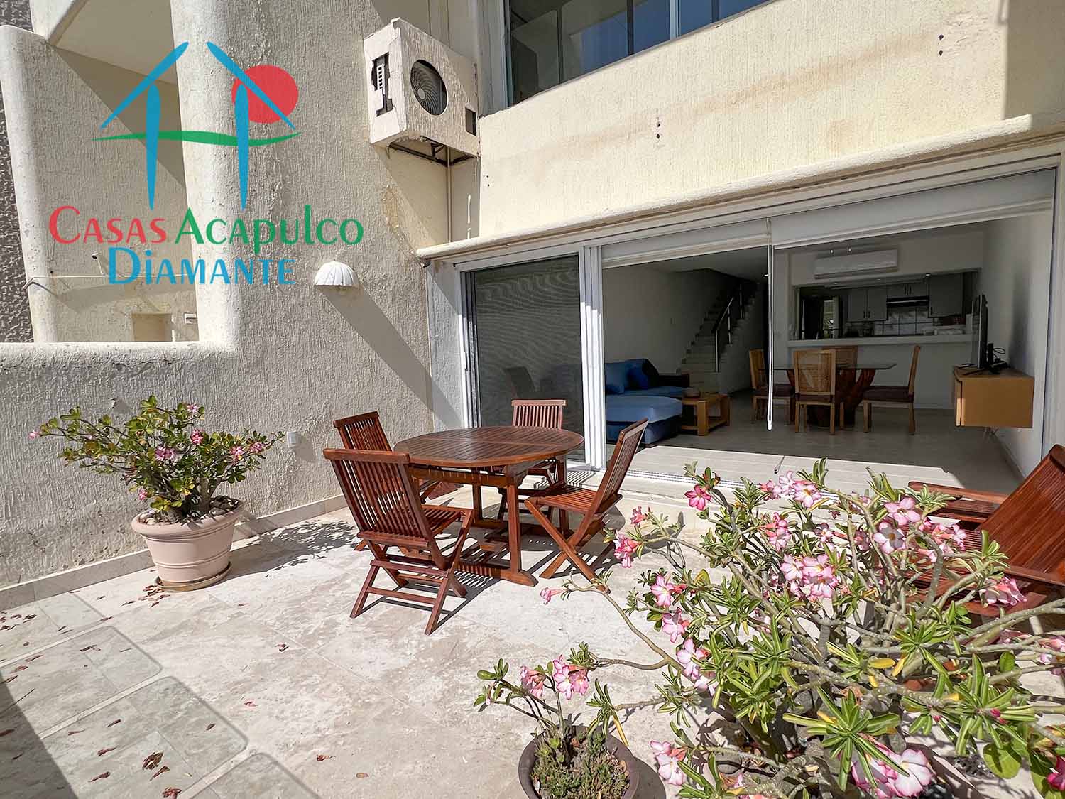 Albatros 203 - Terraza 2